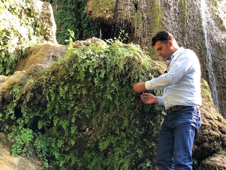 Rizgar Zibari, owner of the Veen resort, said local herbs used in cooking and medicine grow in abdundance in the cool waters. (Photo: Kurmanj Nhili)
